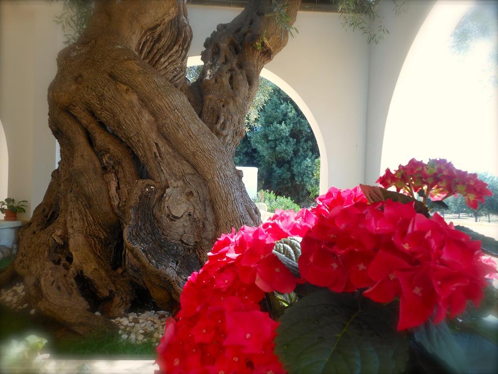 L'Ulivo Bed And Breakfast Savelletri Dış mekan fotoğraf