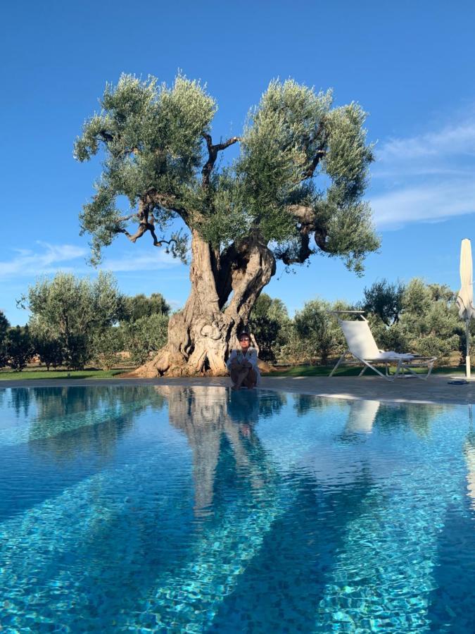 L'Ulivo Bed And Breakfast Savelletri Dış mekan fotoğraf