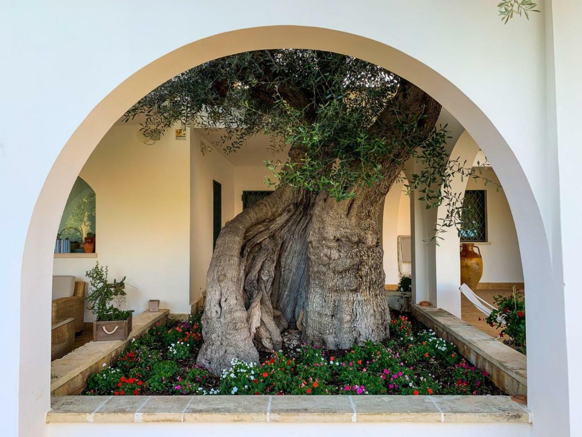 L'Ulivo Bed And Breakfast Savelletri Dış mekan fotoğraf